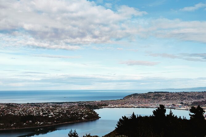 Heritage City and Larnach Castle Van tour with Historian Guide - Dunedin Railway Station and its decorated interior