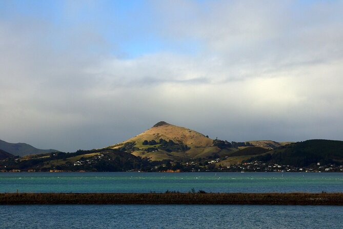Heritage City and Larnach Castle Van tour with Historian Guide - High Street and the Devil’s Half Acre