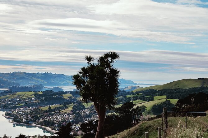 Heritage City and Larnach Castle Van tour with Historian Guide - Lunch at Luna, with the best pause in the schedule