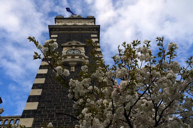Heritage Dunedin City Walking Guided Tour - Princes Street and the strange faces in stone