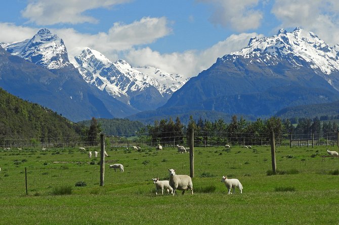 High Country Discovery Tour from Queenstown - Why a four-person vehicle changes the day