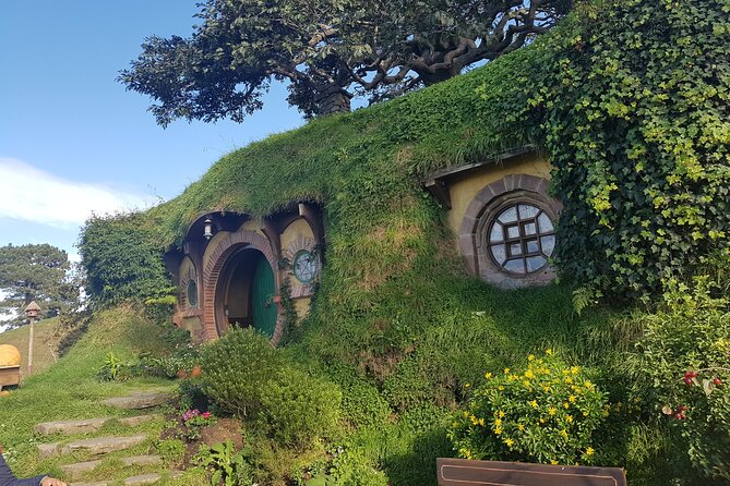 Hobbiton Afternoon Tour in Luxury Minibus from Auckland - Waikato farmland gives the drive a purpose