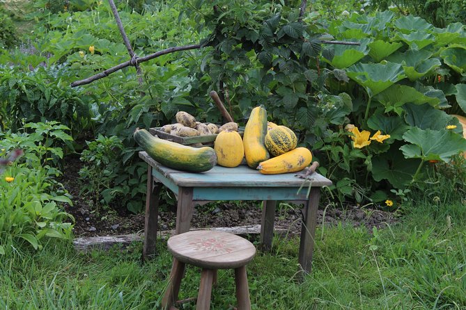 Hobbiton Afternoon Tour in Luxury Minibus from Auckland - The Green Dragon Inn brings the tour to a friendly close