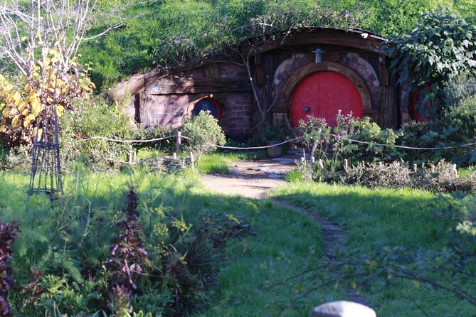 Hobbiton and Waitomo Caves from Auckland - Smaller Group - The road from Auckland and the smaller group