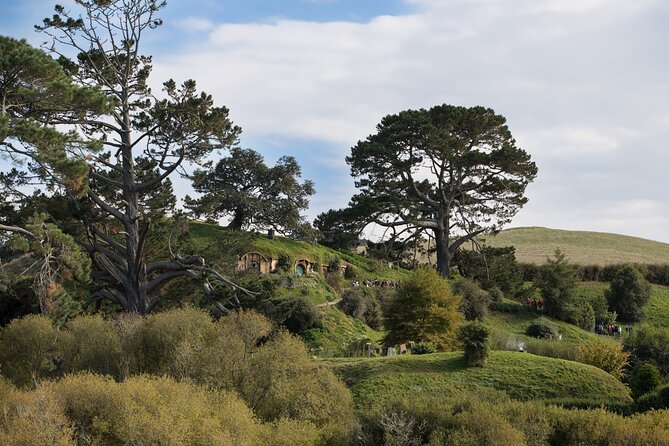 Hobbiton Day Tour from Rotorua with lunch at Hobbiton - Hobbit holes, gardens, and the best photo stops