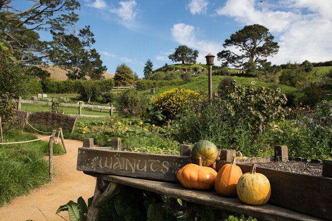 Hobbiton Day Tour from Rotorua with lunch at Hobbiton - Is $189.90 good value?