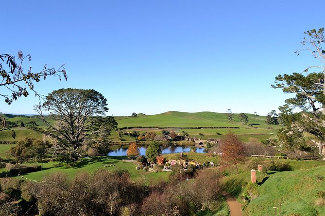 Hobbiton Movie Set day tour From Auckland - How much walking is involved?