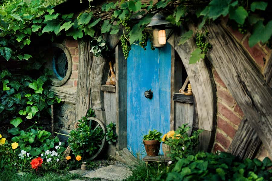 Hobbiton Movie Set & Rotorua Premium Day Tour from Auckland - Final call: is Hobbiton and Rotorua in one day worth it?