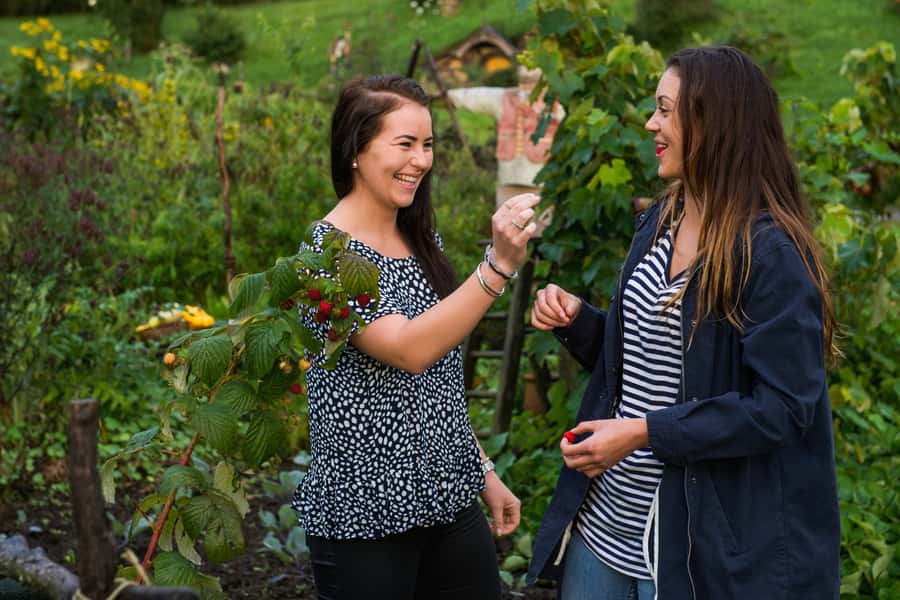 Hobbiton Movie Set & Rotorua Premium Day Tour from Auckland - The group size question at Hobbiton