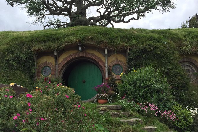 Hobbiton movie set tour and a lot more beautiful NZ sights - Why this Tauranga shore excursion works