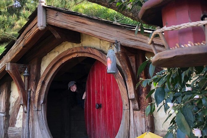 Hobbiton movie set tour and a lot more beautiful NZ sights - McLaren Falls and a short native forest walk