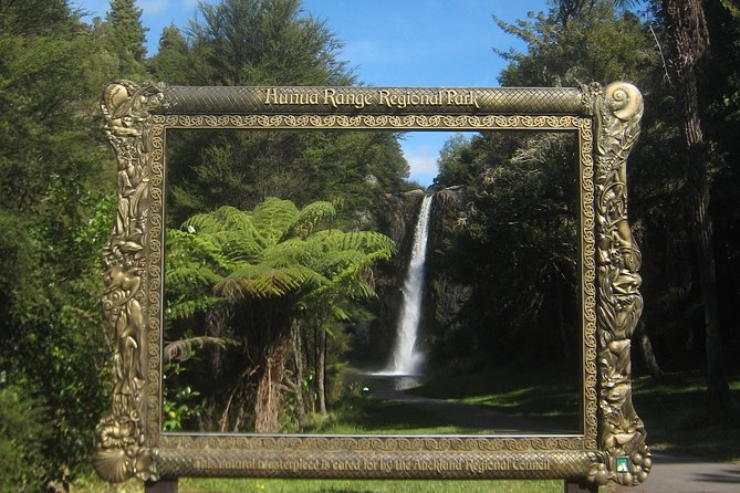Hobbiton Movie Set Tour from Auckland - How the mixed feedback should shape your decision
