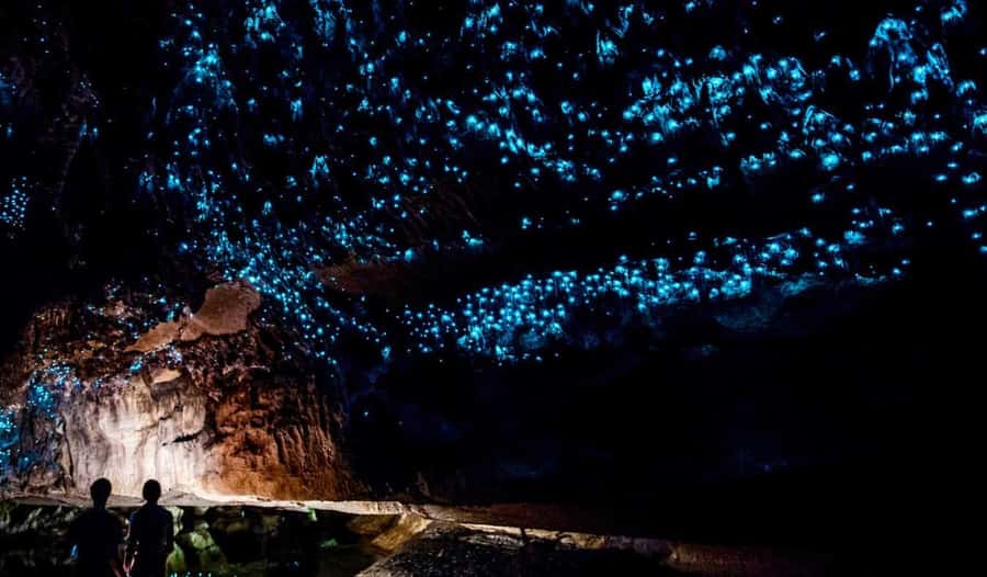 Hobbiton Movie Set Tour to Blue Springs and Waitomo caves - Who will get the most from this tour