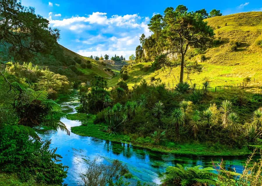 Hobbiton Movie Set Tour to Blue Springs and Waitomo caves - Booking flexibility and practical details