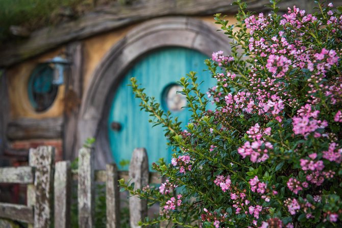Hobbiton Movie set & Waitomo Caves Small Group Tour From Auckland - Why this Auckland day trip works