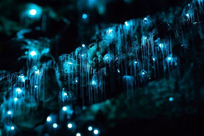 Hobbiton Movie Set & Waitomo Glow Worm Caves Private Tour - Small details that improve the day