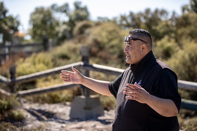 Hobbiton & Rotorua Small Group Tour including Te Puia from Auckland - From Tirau to Rotorua’s geothermal basin