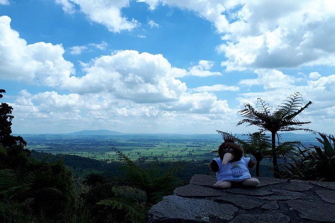Hobbiton Transport & Tauranga Highlights Excursion from Tauranga - Guides who shape the day