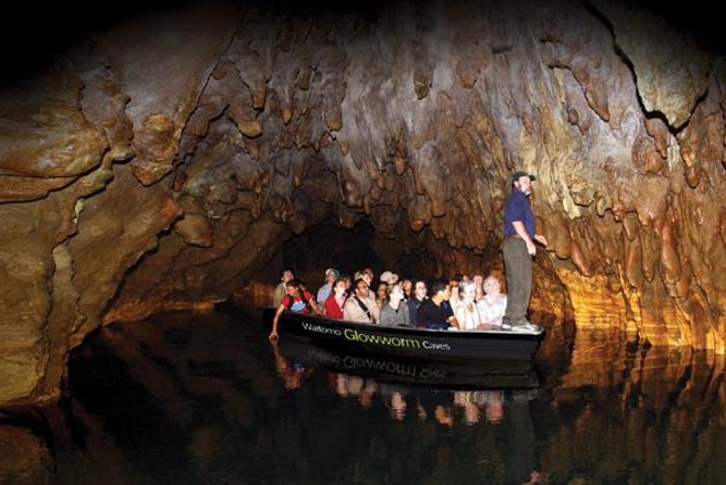 Hobbiton & Waitomo Caves Guided Tour from Auckland with Lunch - The road to Matamata and the Hobbiton reveal