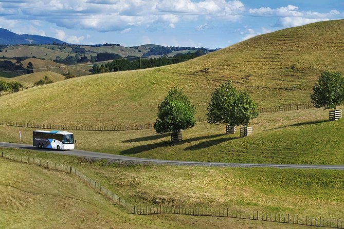 Hobbiton & Waitomo Caves Guided Tour from Auckland with Lunch - Who should book this day trip?