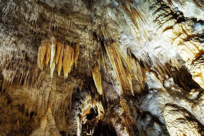 Hobbiton & Waitomo Caves Small Group Tour from Auckland inc Lunch - How the small group changes the experience