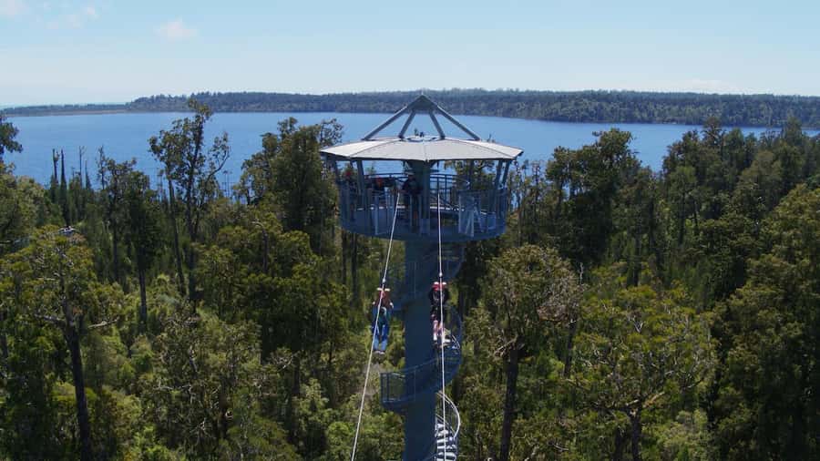 Hokitika: West Coast Tree Top Tower Zip Line and Walk - Entering the Hokitika rainforest at Ruatapu
