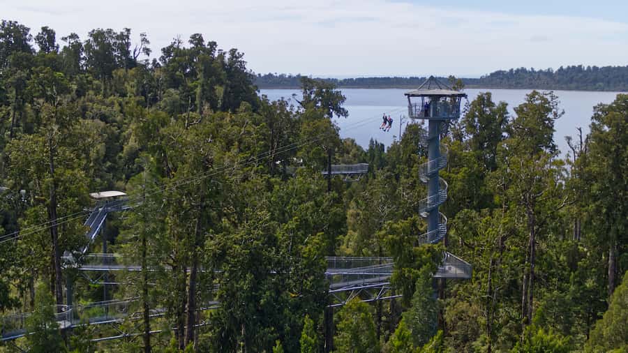 Hokitika: West Coast Tree Top Tower Zip Line and Walk - A treetop walk with time to look around