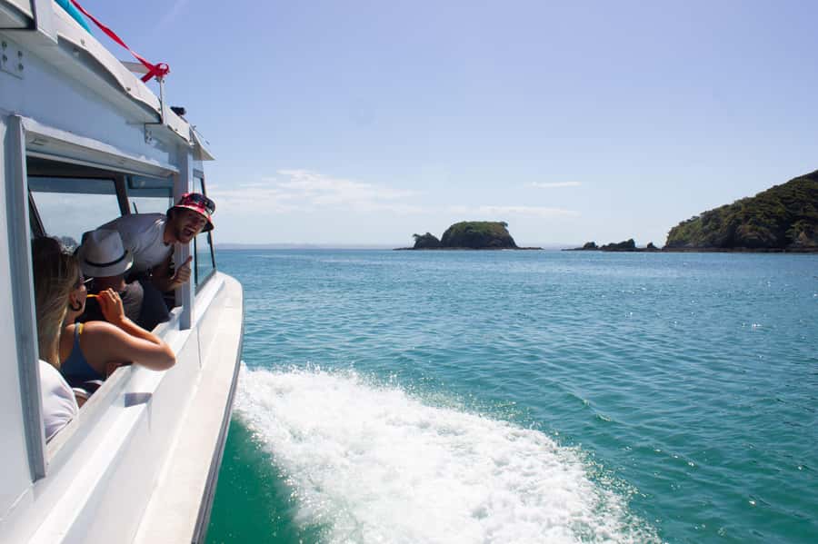 Hole in the Rock Tour & Bay of Islands Cruise - Who will enjoy this cruise most