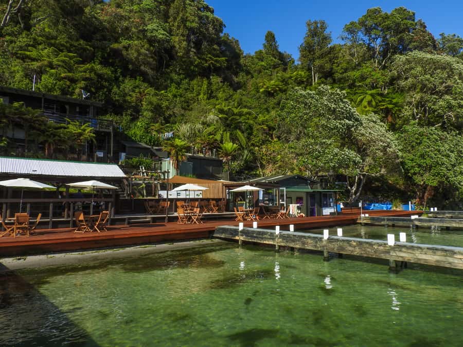 Hot Pools Kayak & Evening Barbecue - Getting ready in Rotorua