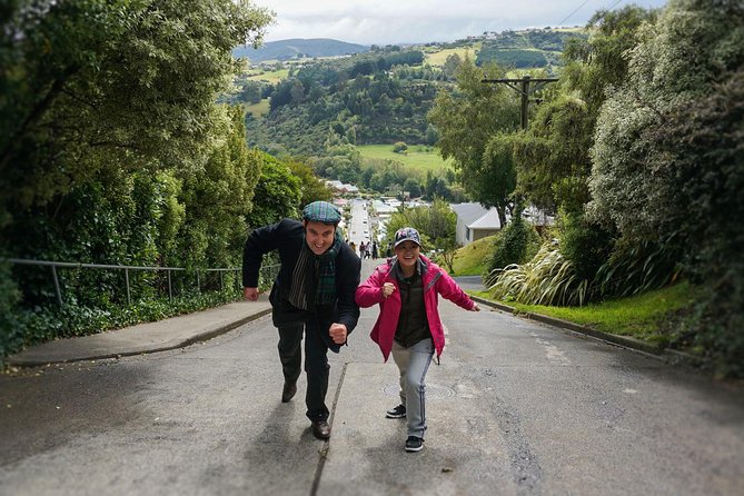 Iconic Shore Excursion: Dunedin City Highlights Tour - A useful four-hour introduction to Dunedin