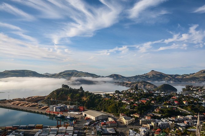 Iconic Shore Excursion: Dunedin City Highlights Tour - Baldwin Street supplies the tour’s playful moment