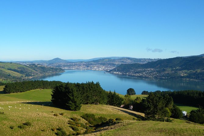 Iconic Shore Excursion: Dunedin City Highlights Tour - Otago University shows Dunedin’s student side