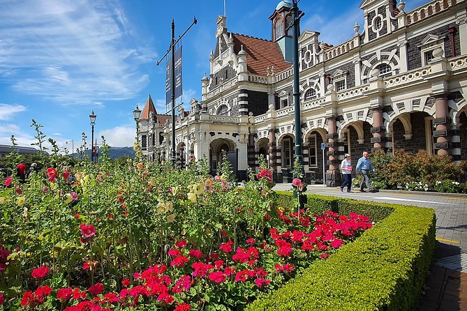 Iconic Shore Excursion: Dunedin City Highlights Tour - Signal Hill starts with Dunedin from above
