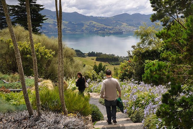 Iconic Shore Excursion: Iconic Larnach Castle Tour - A drive through Dunedin’s older stories
