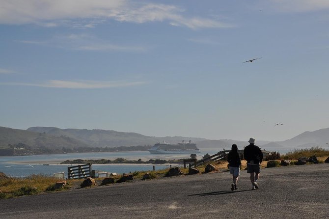 Iconic Wildlife Tour with Yellow Eyed Penguins & Royal Albatross - Baldwin Street gives the day a quirky pause