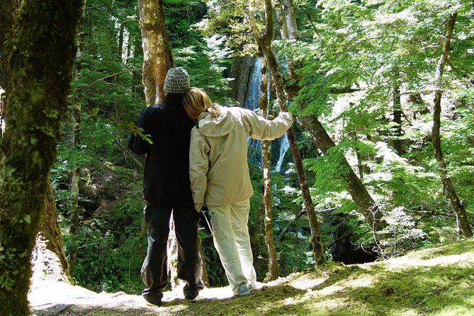Jet Boat and Wilderness Walk Tour from Wanaka - Small groups, equipment, and comfort