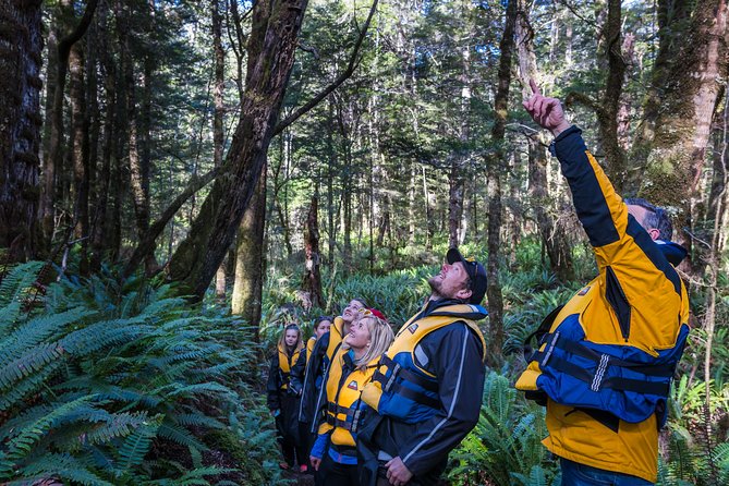 Jet Boat Journey through Fiordland National Park - Pure Wilderness - How Much Value Do You Get for $127.22?