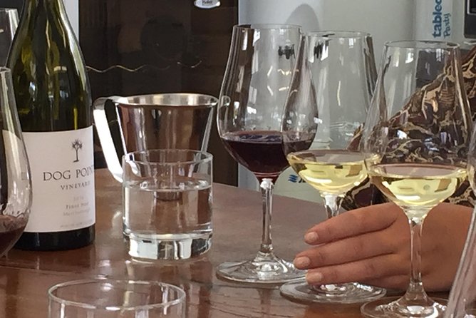 Jimmy’s Classic Marlborough Wine tours - Huia Vineyards and organic grapes