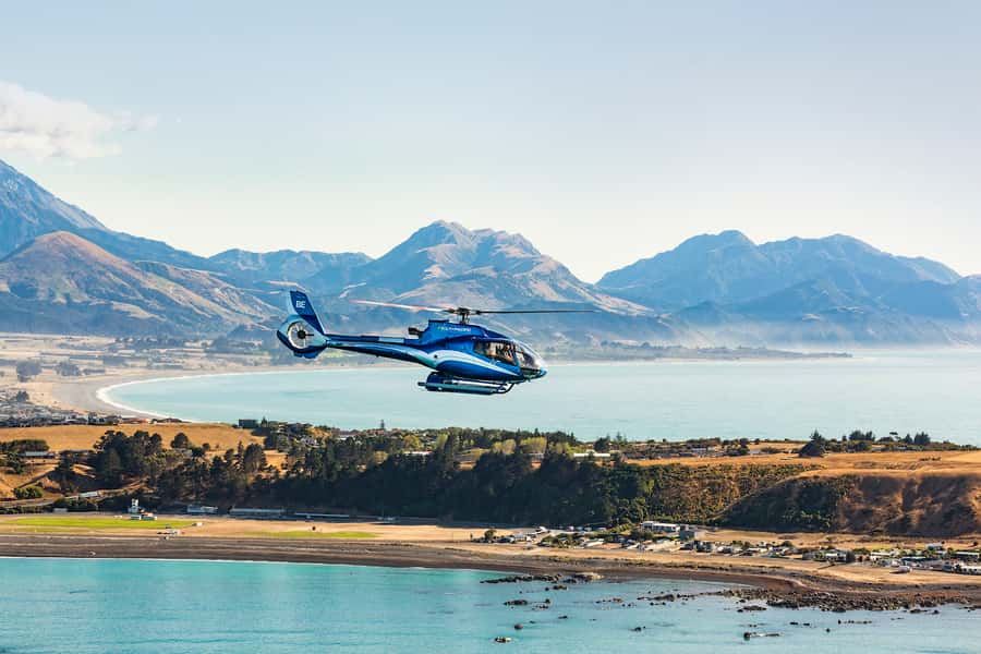 Kaikoura: 1-Hour Whale Watching Helicopter Tour - Is $792 per person a fair price?