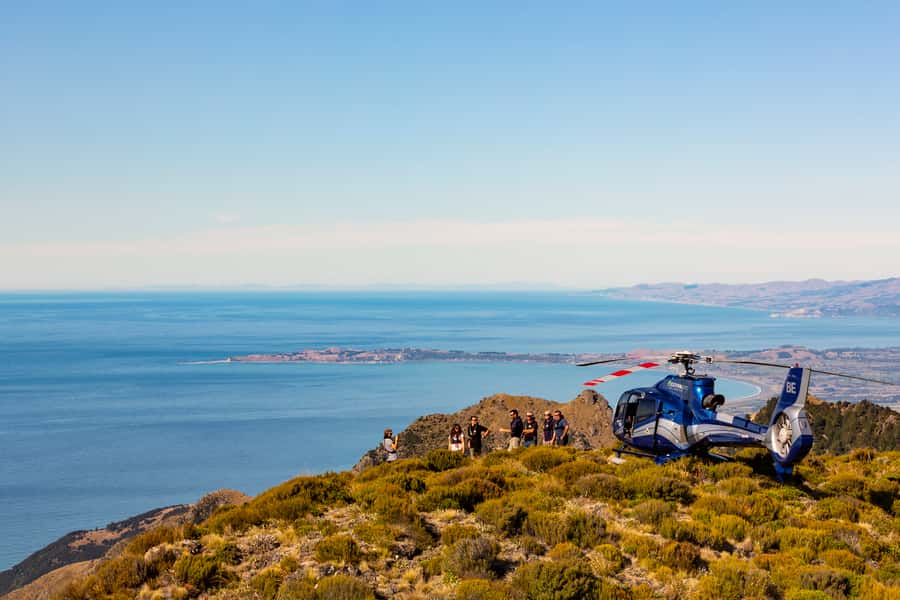 Kaikoura: 1-Hour Whale Watching Helicopter Tour - Should you book the Kaikōura helicopter tour?