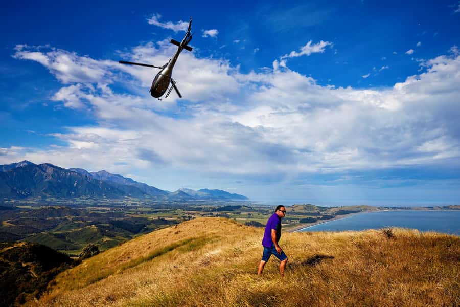 Kaikōura: 45-Minute Whale Watching Helicopter Tour - Dolphins, fur seals, and the coastal route