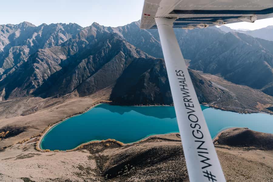 Kaikoura: Extended Flight Whale Watching & Mountain Tour - The first views: farmland, peninsula, and ocean