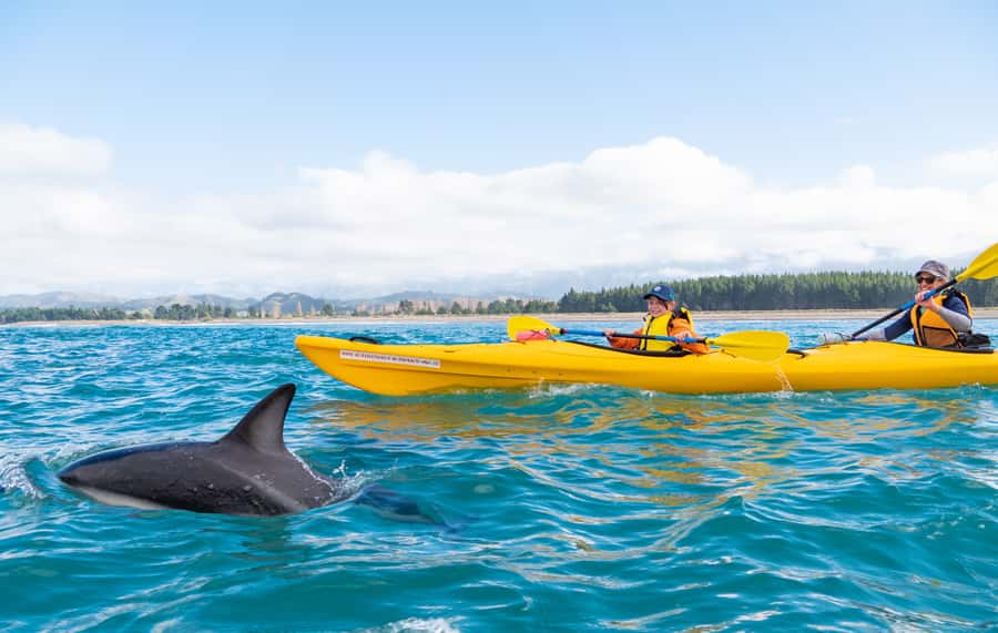 Kaikoura: Guided Family Kayaking Adventure - Key points to know before you book