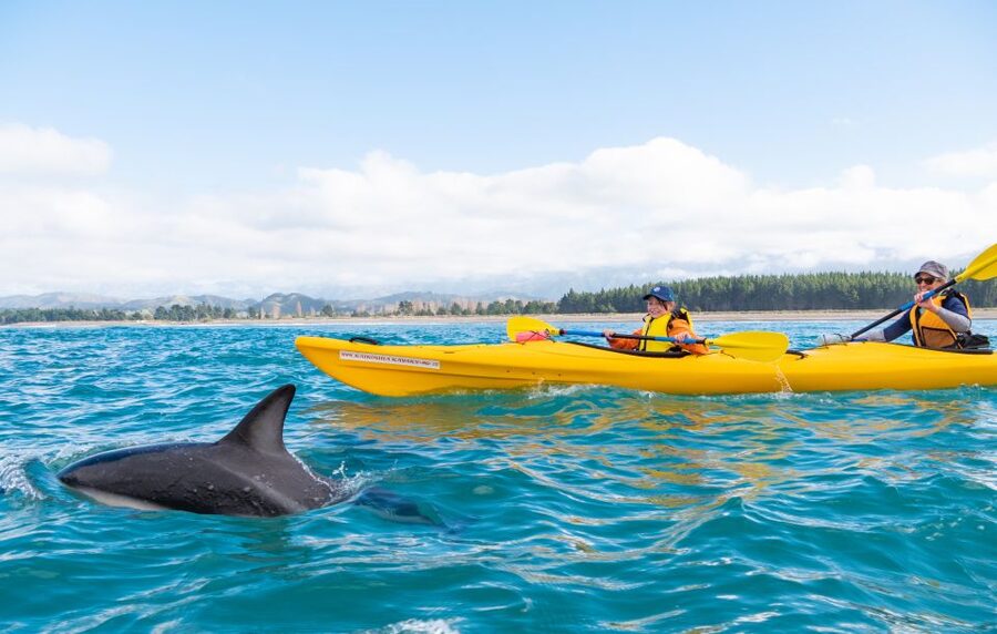 Kaikoura: Guided Family Kayaking Adventure - The mountain views from water level