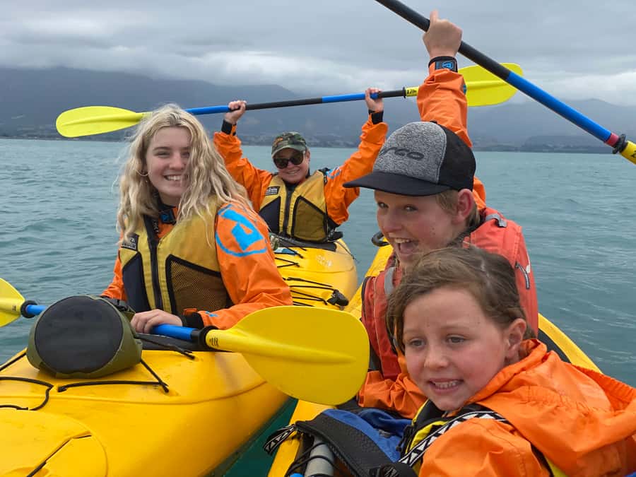 Kaikoura: Guided Family Kayaking Adventure - Is $95 per person good value?