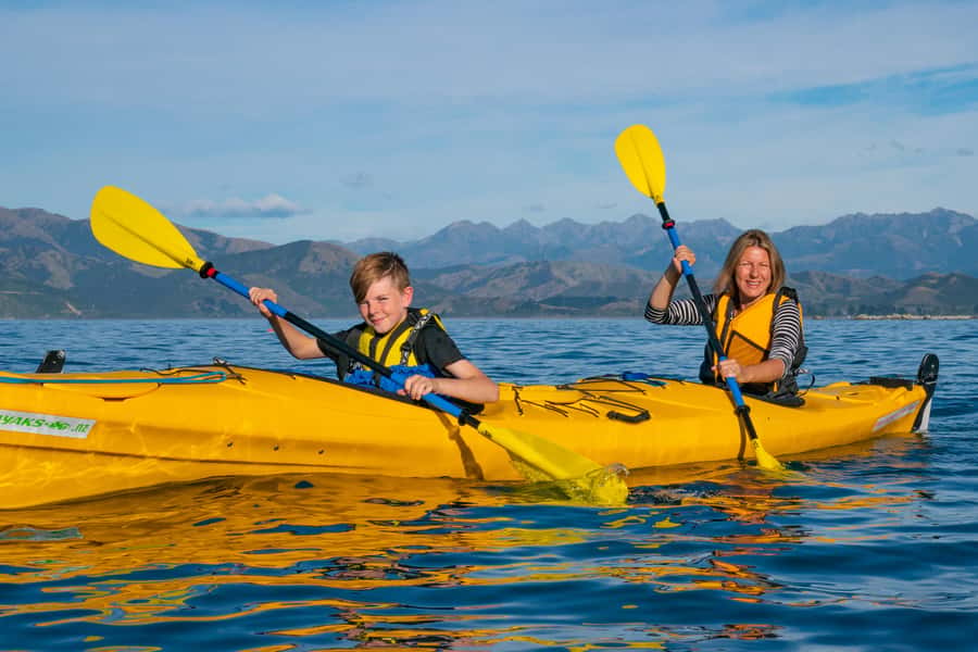 Kaikoura: Guided Family Kayaking Adventure - What to wear and bring