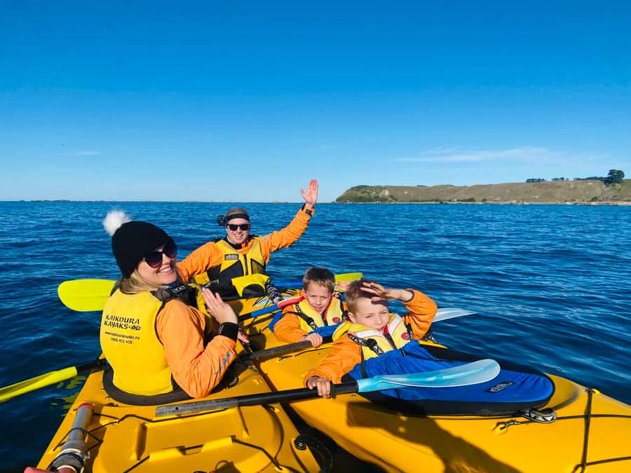 Kaikoura: Guided Family Kayaking Adventure - Safety, weather, and physical demands