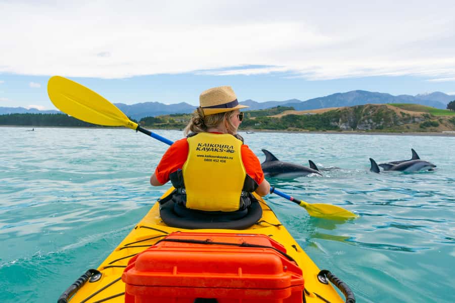 Kaikoura: Half-Day Wildlife Kayaking Tour - The first paddle and the shape of the coast