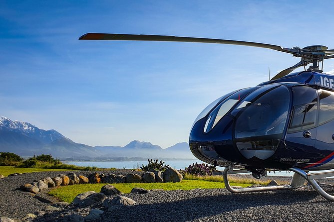 Kaikoura Helicopters Classic Whale Watch - A 30-minute search over the deep-sea canyon