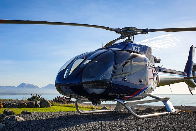Kaikoura Helicopters Extended Whale Watch - Why the extra minutes can pay off